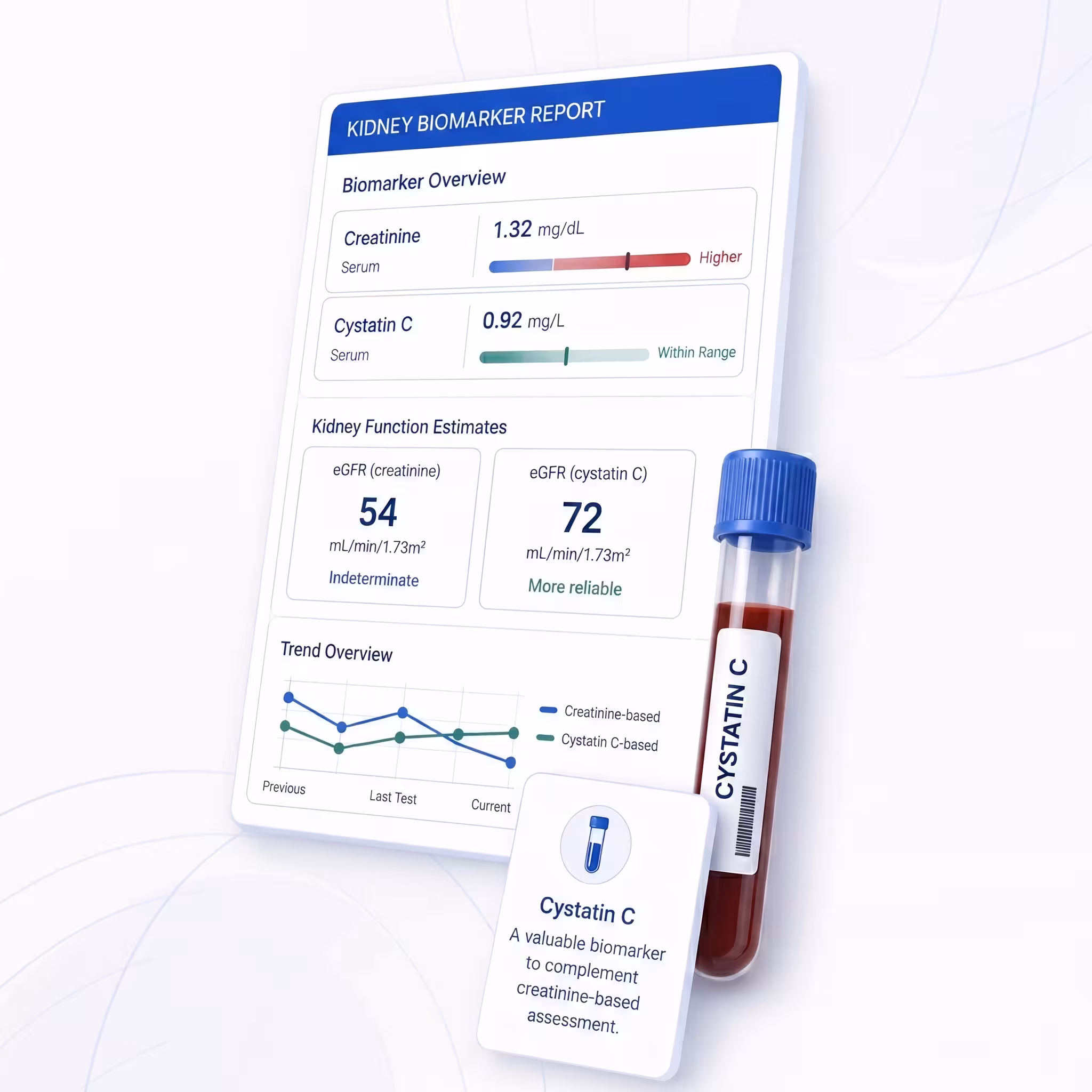 What Is Cystatin C?